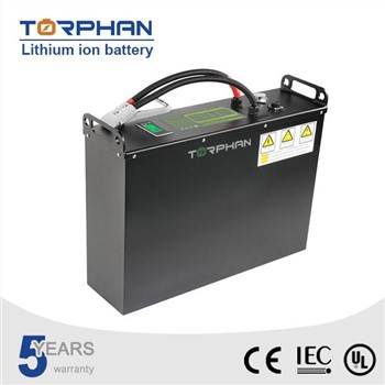 48v Toyota Forklift Battery